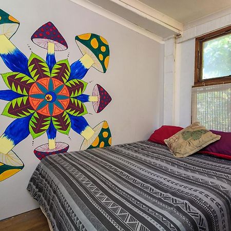 In The Green Backpackers Морганс Бей Екстериор снимка
